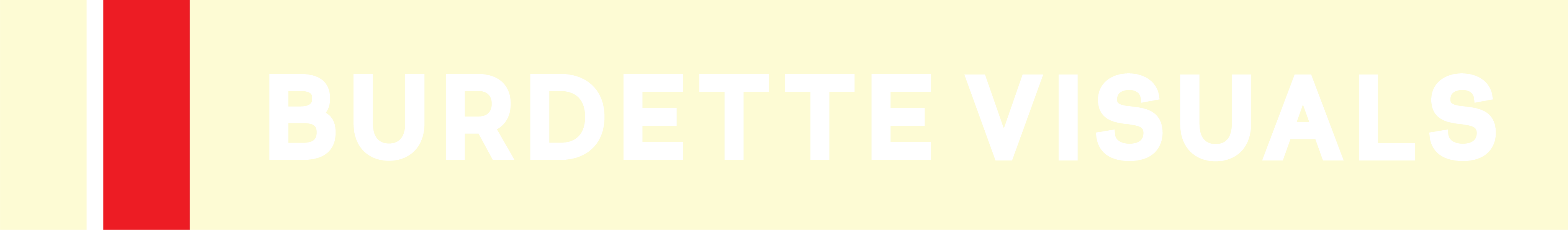 Burdettevisuals